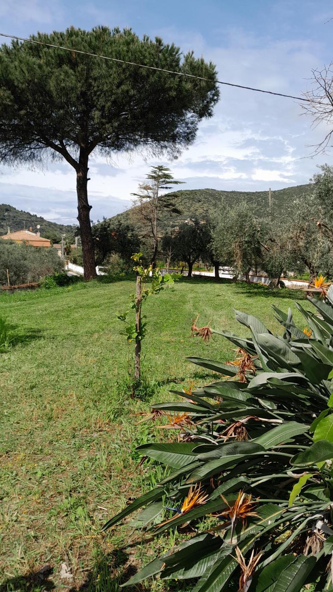 Milu Apartamento